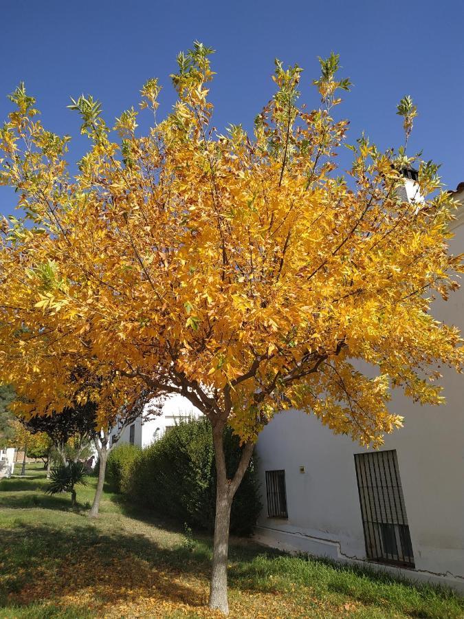La Casa De Elias Villa Aracena Eksteriør bilde